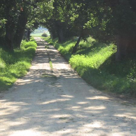 Domaine A Marmande Bed & Breakfast Berdoues Dış mekan fotoğraf