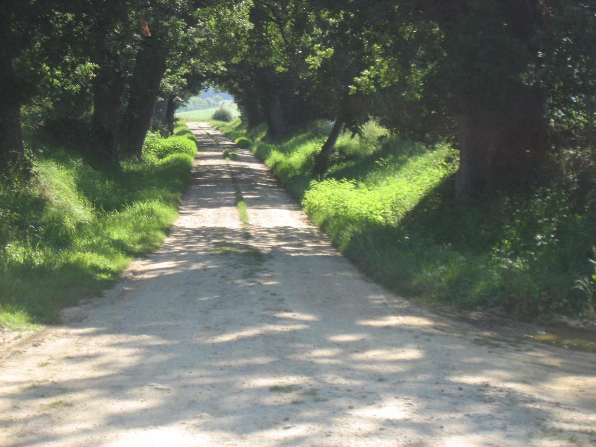 Domaine A Marmande Bed & Breakfast Berdoues Dış mekan fotoğraf
