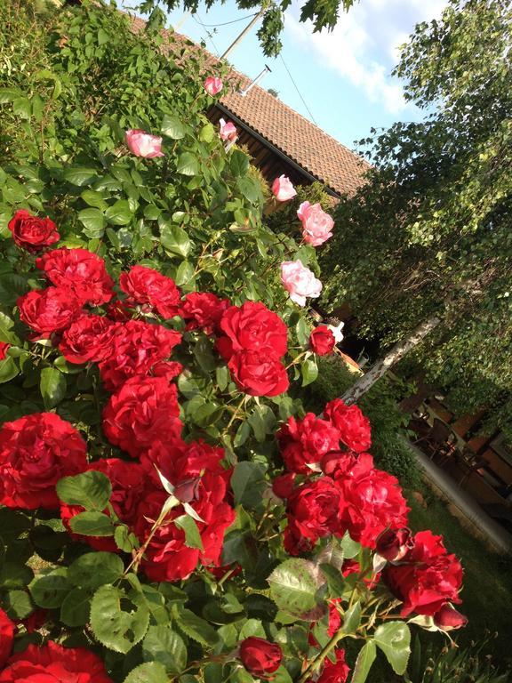 Domaine A Marmande Bed & Breakfast Berdoues Dış mekan fotoğraf